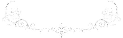 dykkjdyg8srmr0cyj5taqedh18 preview 0 ezremove.png
