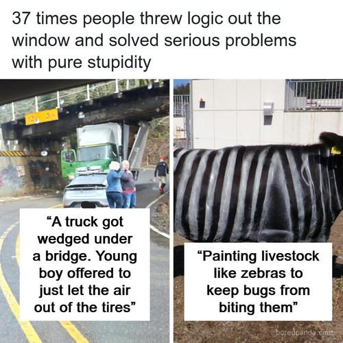 people solutions.jpg