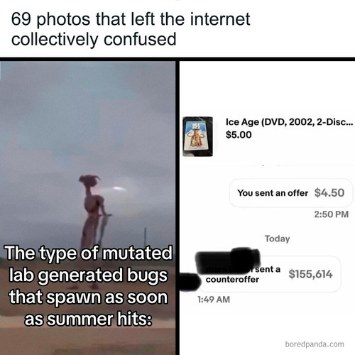 funny memes.jpg