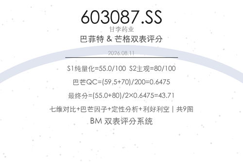 603087.SS cover.png