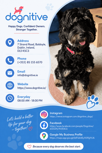 Puppy Obedience Classes in Dublin.png