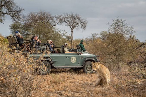 Best Private Safari Tours in Tanzania for an Unforgettable Experience.jpg