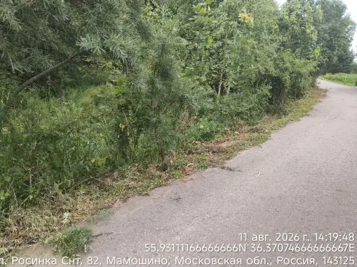 f89a4c570edf.webp