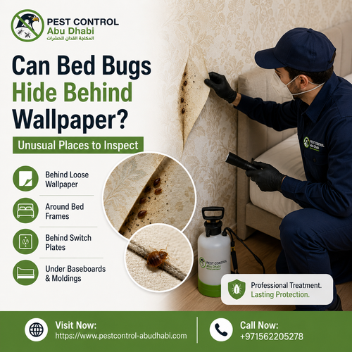 Can Bed Bugs Hide Behind Wallpaper Unusual Places to Inspect.png