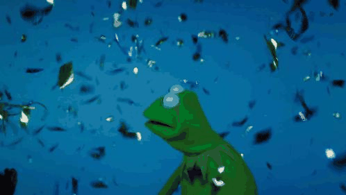 kermit confetti.gif