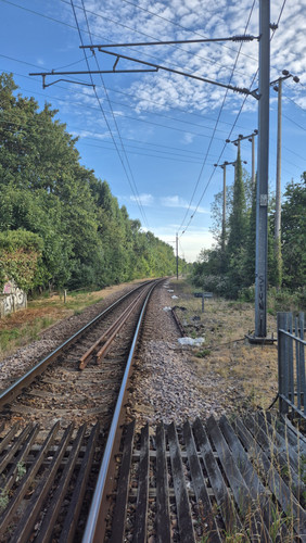 1000164850.jpg