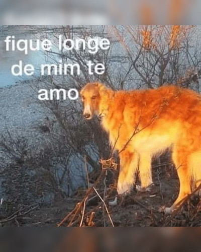 7957941078e9.jpg