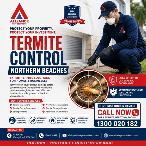 Protecting Your Property With Professional Termite Control Northern Beaches.jpg