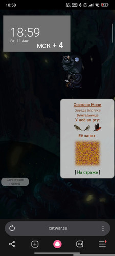 1000012971.jpg