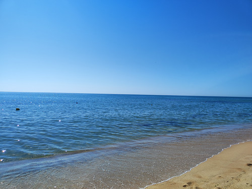 IMG 20260811 095046.jpg