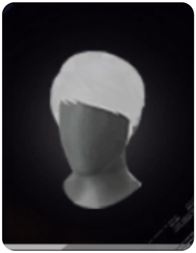 1000323811.png