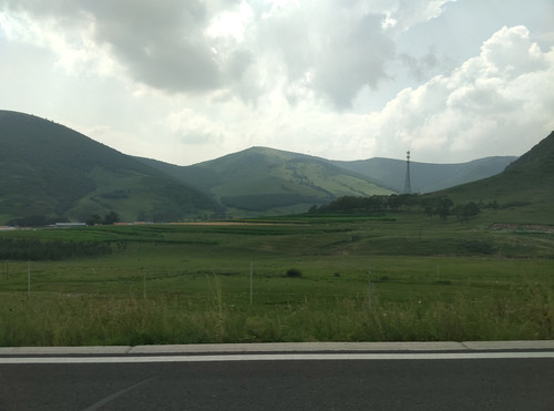 IMG 20260811 140427.jpg