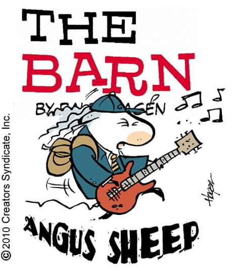 Angus Sheep.jpg