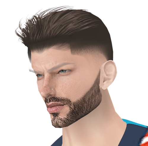 20260811 133254.png