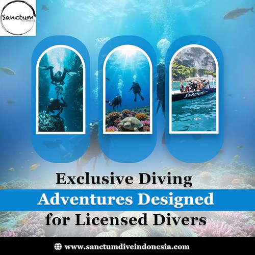 Exclusive Diving Adventures Designed for Licensed Divers.jpg