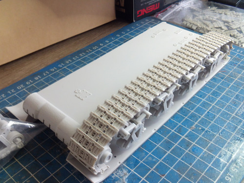 SUNP0002.1