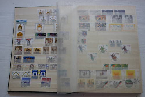 DSC09036 (Kopírovat).jpg