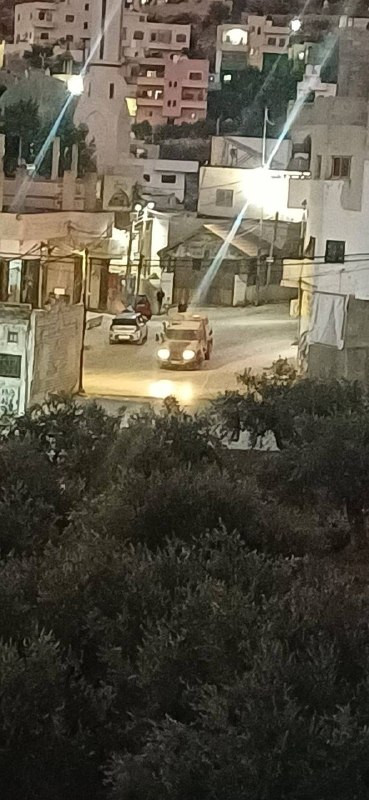 صورة الخبر