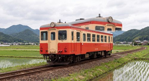 618764c6bb7ae23d.jpg