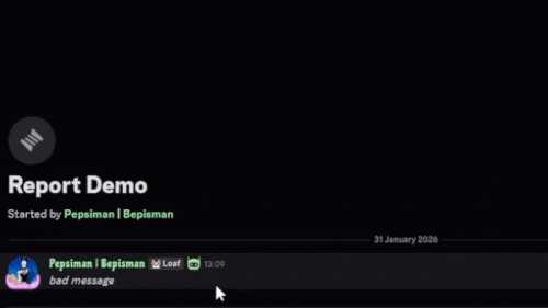 reportdemo2 ezgif.com optimize.gif