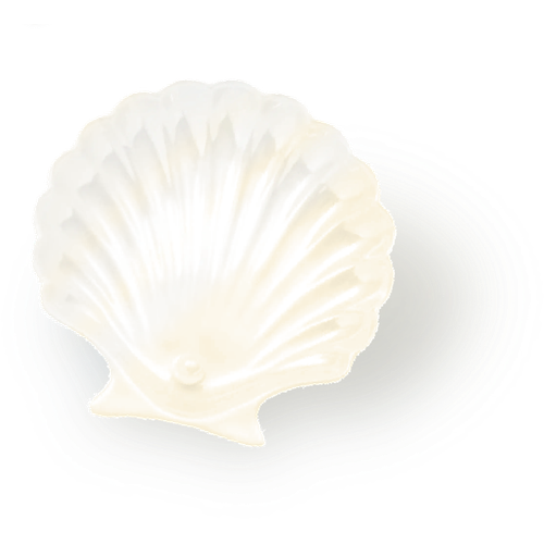1000058811.png