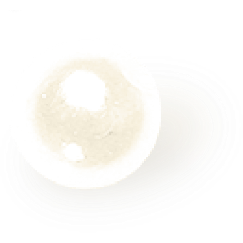 1000058835.png