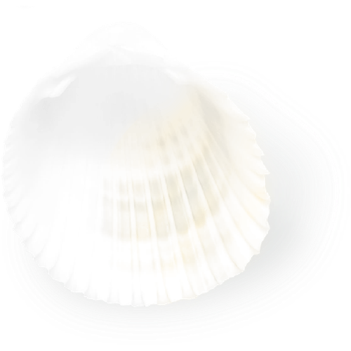 1000058831.png