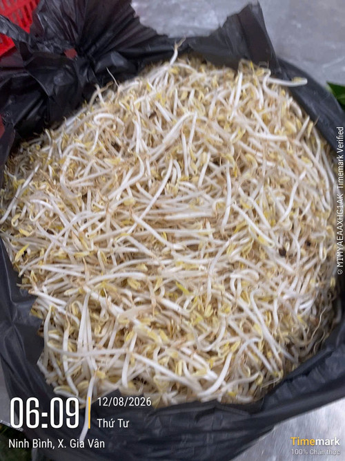 2aOboQqwUsrpFKREvBFJDjEjihy0PtD8sEln5lFQ.jpg