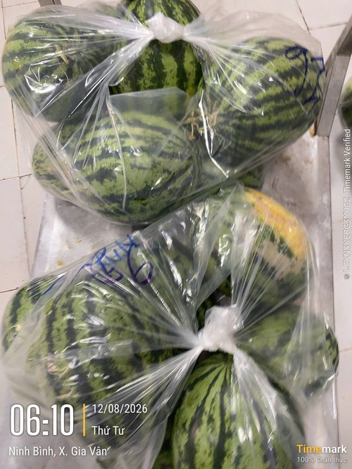 2aOboQqwUsy41y9VxCDgRK0O6xs7A2snSdIWrPiS.jpg
