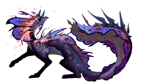 IMG 2960.png