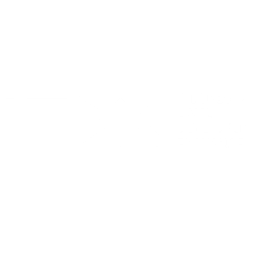 logo IGDX white.png