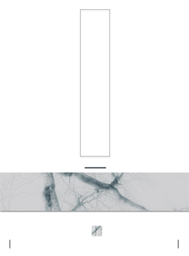 无标题14 20260811155347 edit 2414041302650648.png