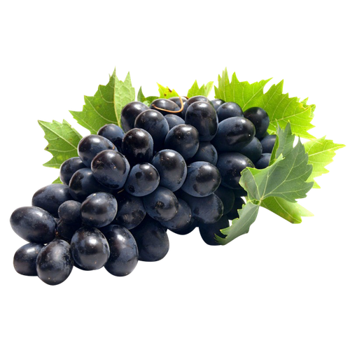 2152014 369753 ВИНОГРАД КИШМИШ ЧЕРНЫЙ КГ.png