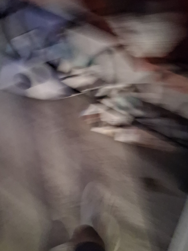 temp.png