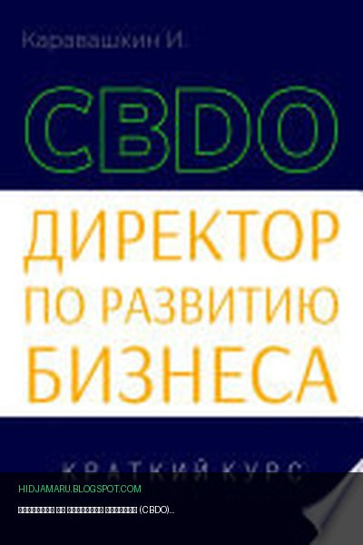 Обложка книги «Директор по развитию бизнеса (CBDO). Краткий курс» - И. Каравашкин