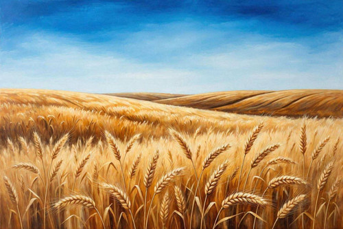 airbrush style eines weizenfeldes blauer himmel ohne weg