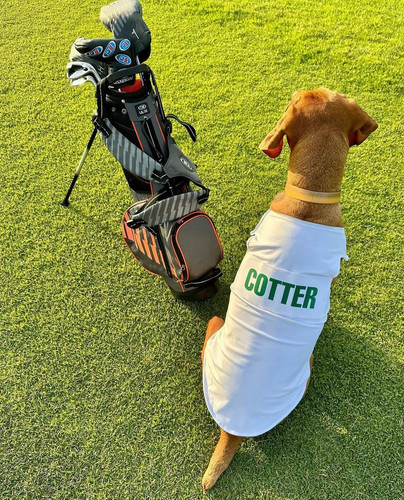 Golf Outfit for Dog: Fun and Stylish Golf-Inspired Pet Wear.jpg