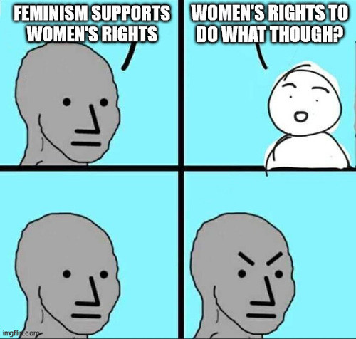 WomensRightsToDoWhat.jpg