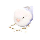 IMG 0524.gif