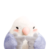 IMG 0513.gif