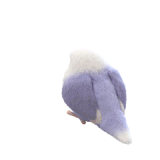 IMG 0521.gif