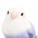 IMG 0517.gif