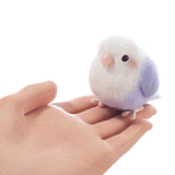IMG 0519.gif