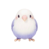 IMG 0504.gif