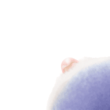 IMG 0523.gif