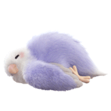 IMG 0506.gif