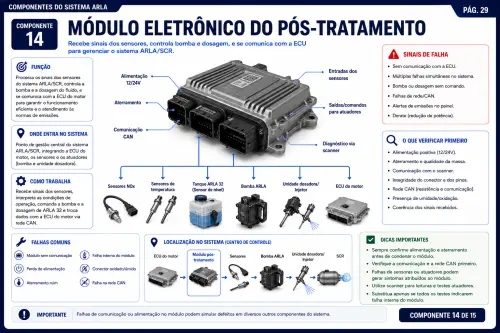 29.webp