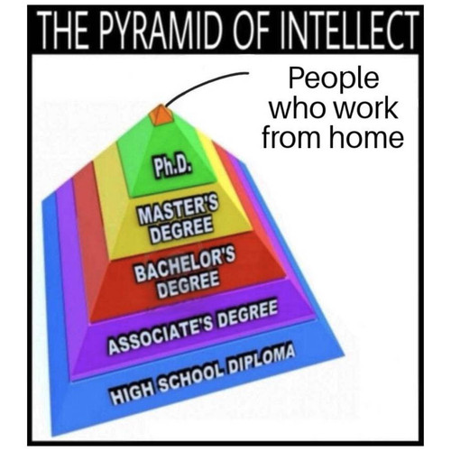 2289ce063463.jpg