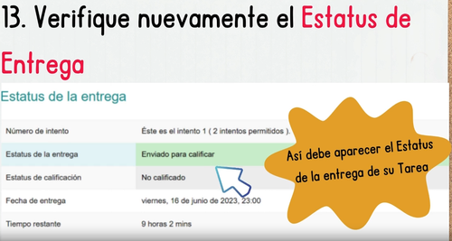 Captura de pantalla 2026 08 10 124007.png