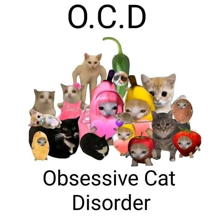 Obsessive Cat Disorder logo